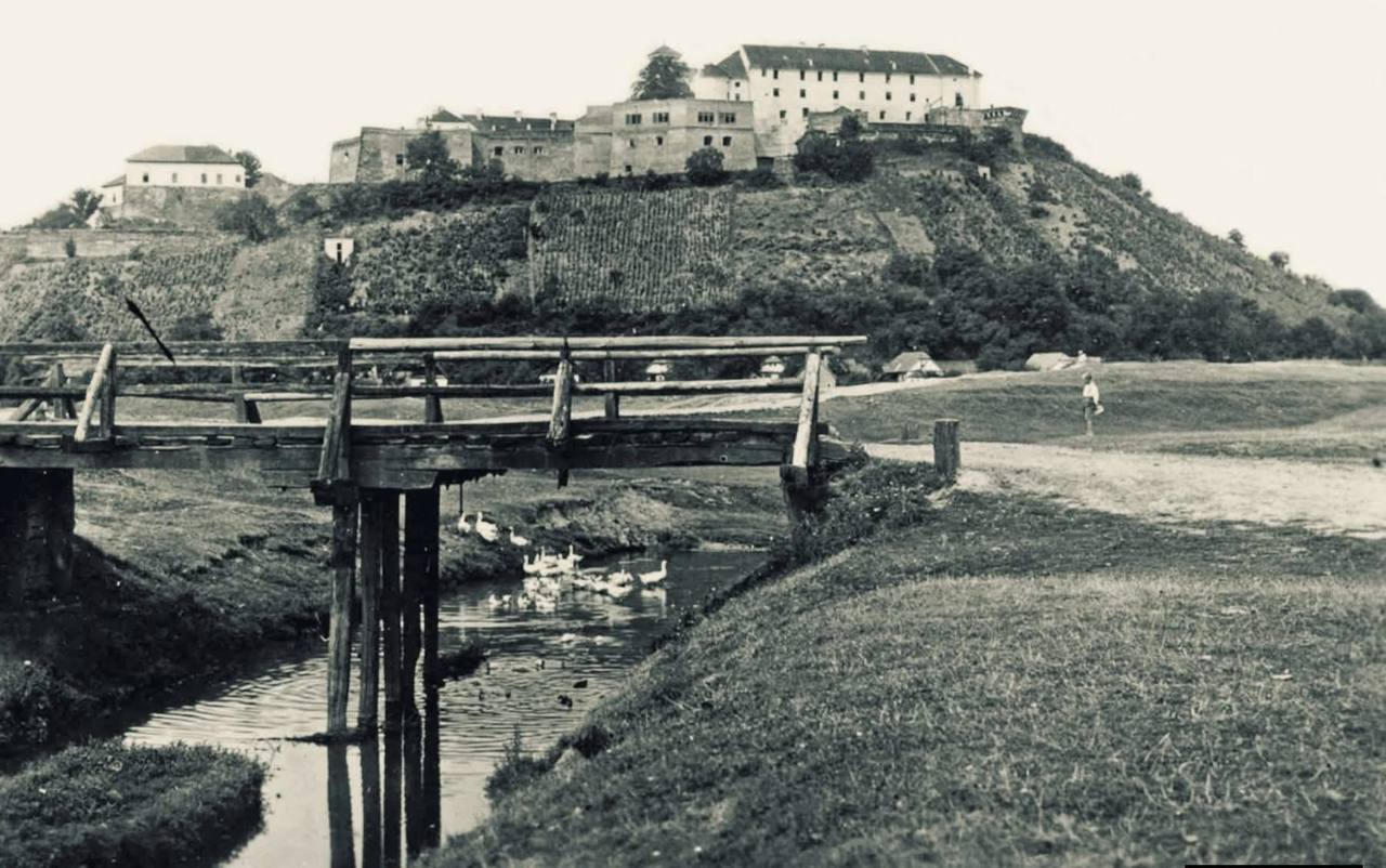 Старе Мукачево: у мережі показали унікальні фото