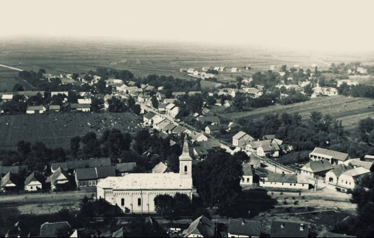 Старе Мукачево: у мережі показали унікальні фото