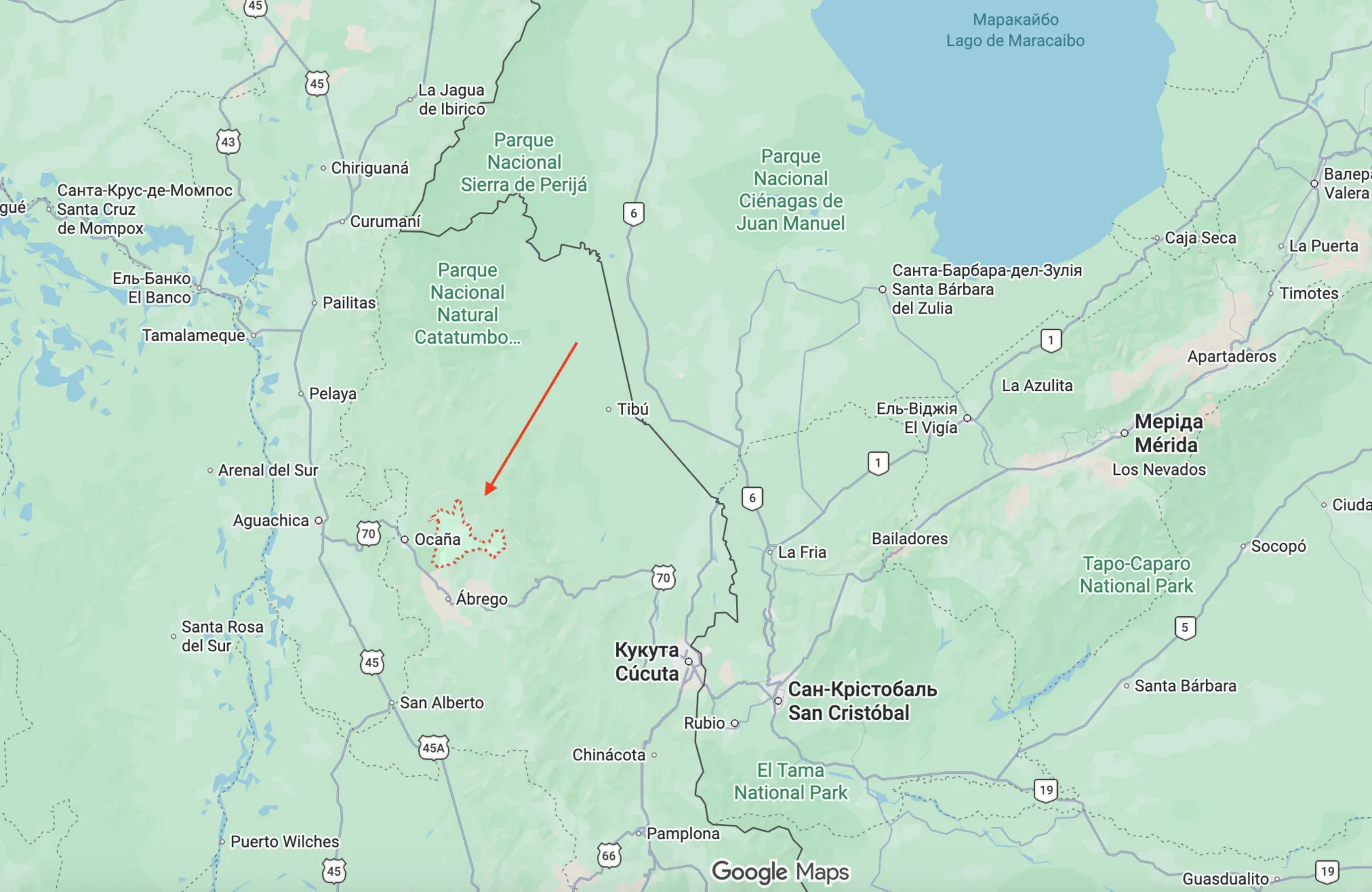 На кордоні Колумбії та Венесуели розбився пасажирський літак: ніхто не вижив. Фото і відео