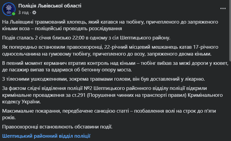 На Львовщине юноша получил травмы после катания на тюбинге, прицепленном к запряженной лошадьми телеге. Фото