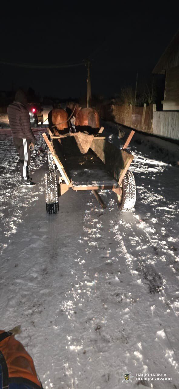 На Львовщине юноша получил травмы после катания на тюбинге, прицепленном к запряженной лошадьми телеге. Фото