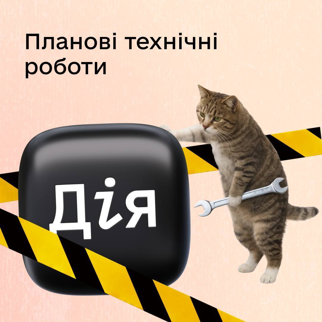 Сервисы в Дії временно не будут работать: когда и в чем причина