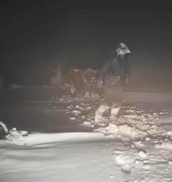 Були на межі життя та смерті: у горах Румунії врятували двох заблукалих та замерзлих українців. Фото і відео