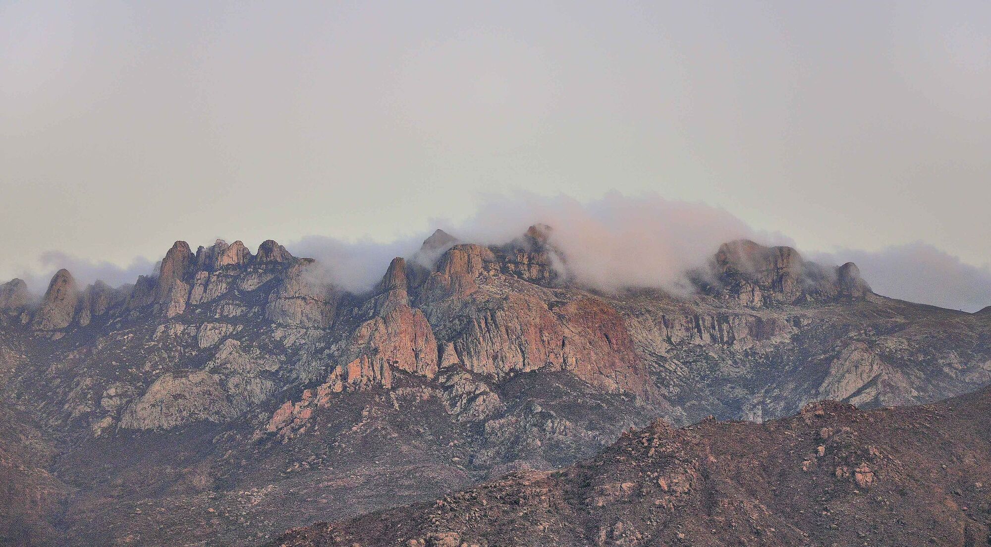Там ростуть унікальні драконові дерева: де розташований загадковий острів Сокотра