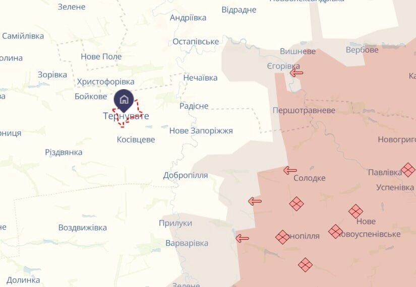 "Поставили флаг и оказались в плену": как оккупанты "захватили" село в Запорожье