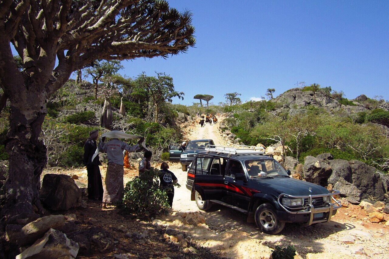 Там ростуть унікальні драконові дерева: де розташований загадковий острів Сокотра