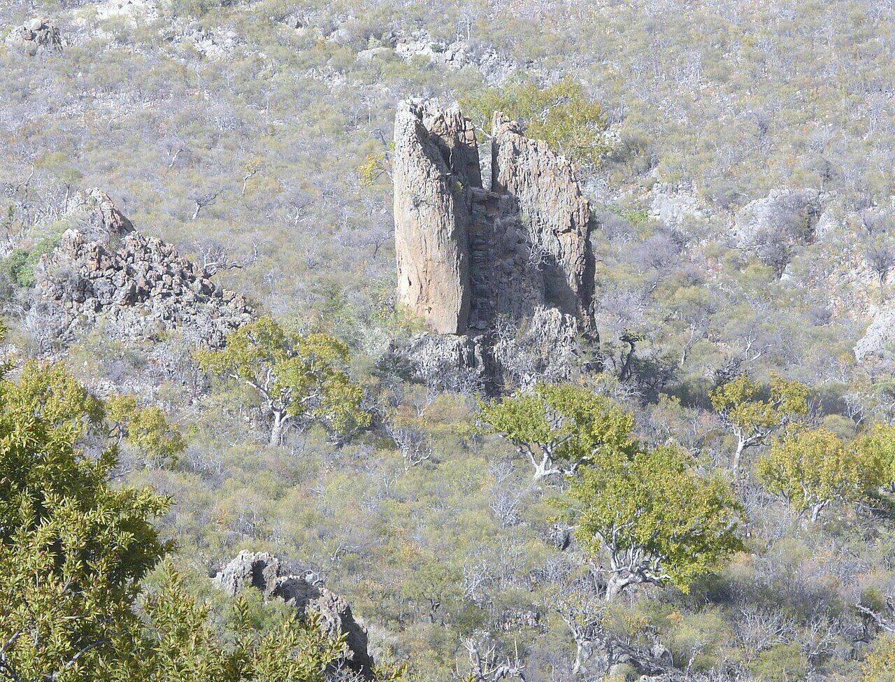 Там ростуть унікальні драконові дерева: де розташований загадковий острів Сокотра