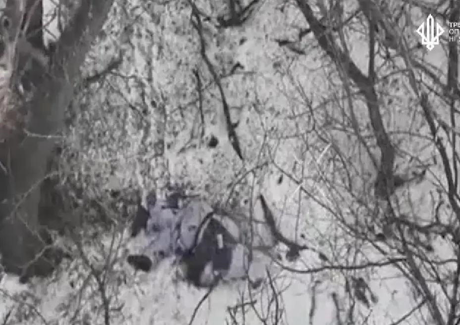 За добу – майже мінус чотири взводи російської піхоти: у Нацгвардії показали, як нищать окупантів. Відео