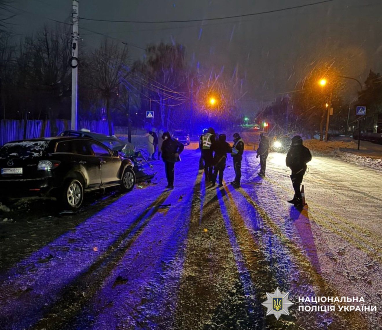 Авто виїхало на зустрічну: у ДТП на Житомирщині загинуло двоє людей, ще п'ятеро постраждали. Фото