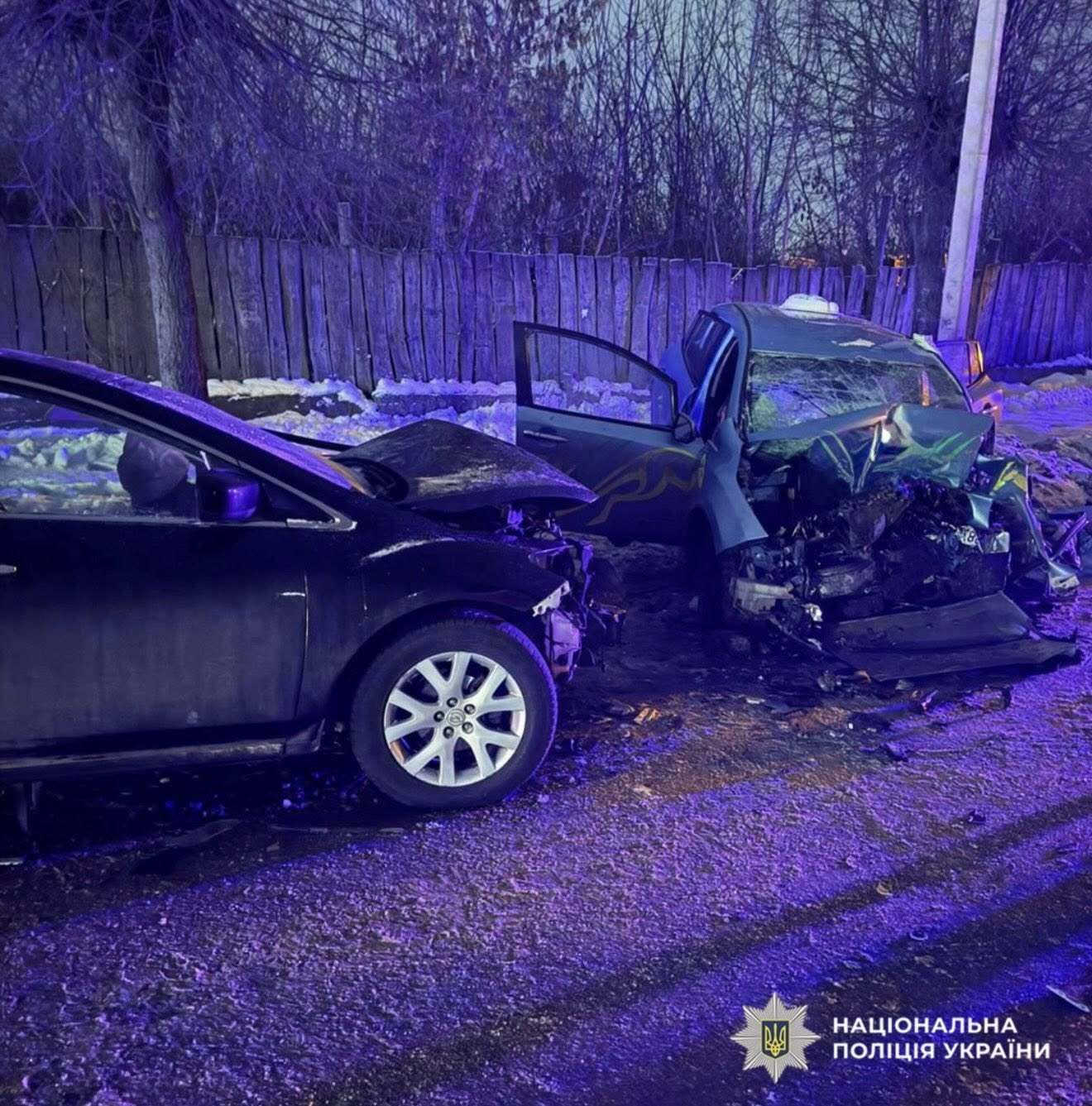 Авто виїхало на зустрічну: у ДТП на Житомирщині загинуло двоє людей, ще п'ятеро постраждали. Фото