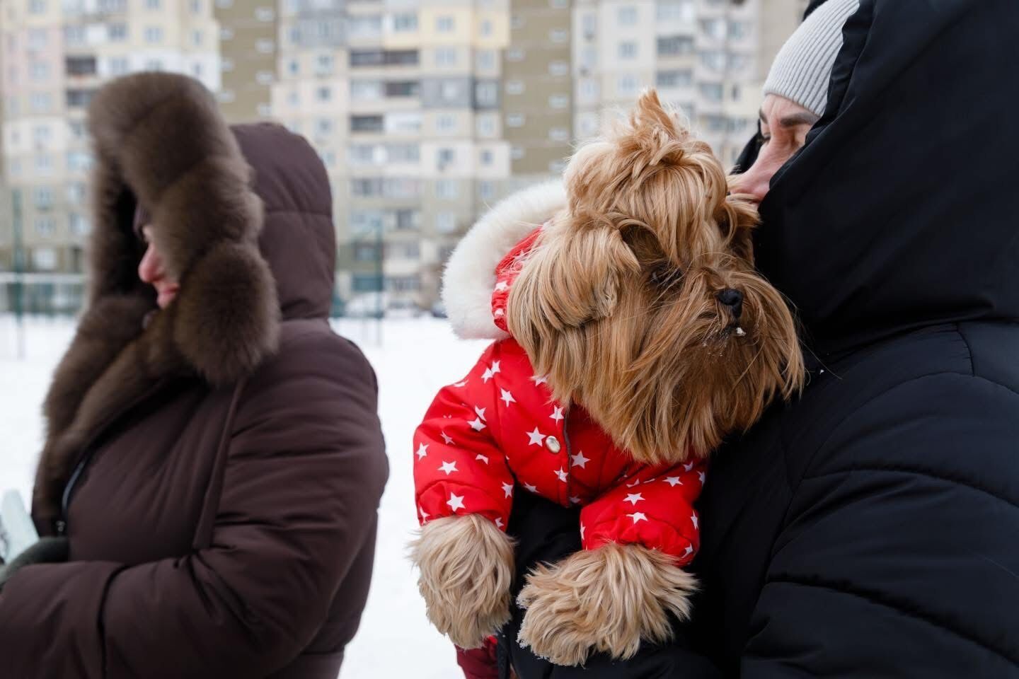 На Теремках і Троєщині запрацювали пункти допомоги киянам. Порошенко розповів, де вони знаходяться