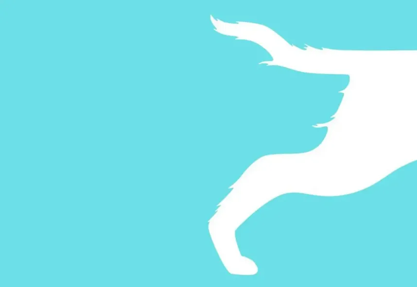 Що побачили першим? Тест покаже, як ви вирішуєте проблеми