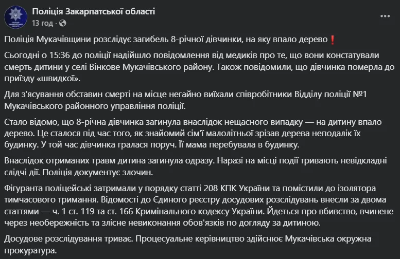 Гралася поруч: на Закарпатті внаслідок падіння дерева загинула 8-річна дівчинка