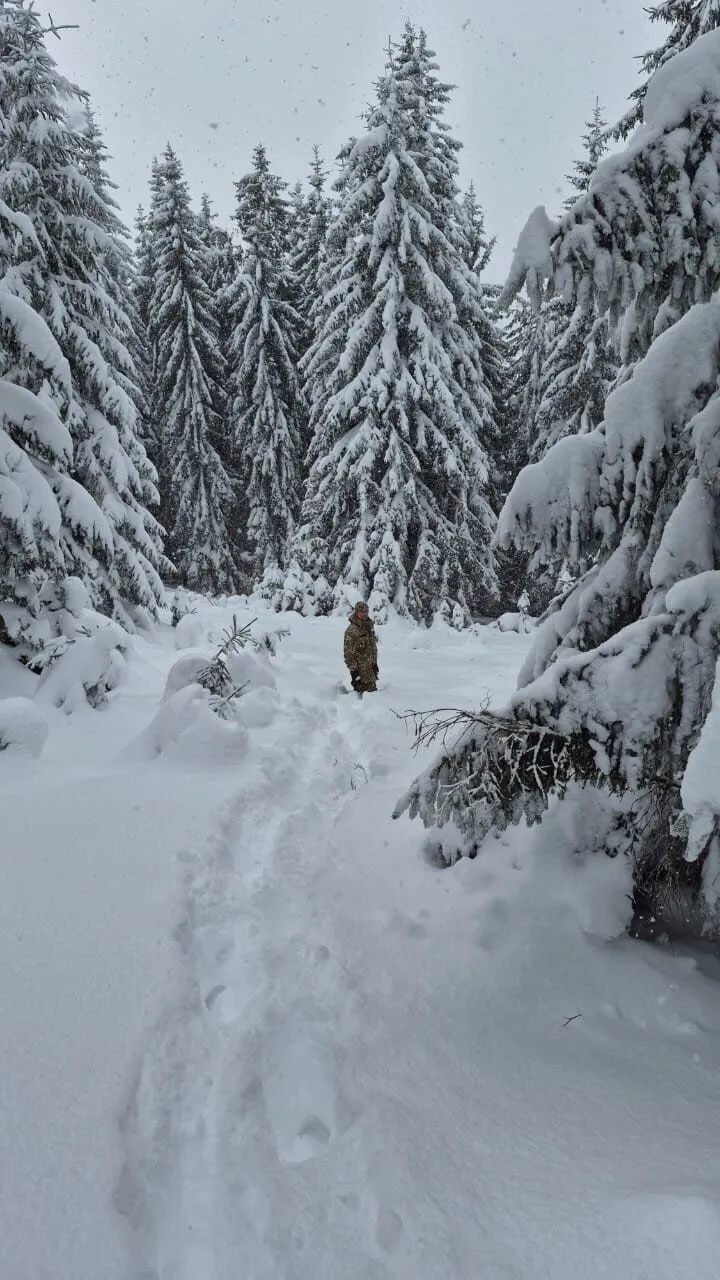 Мешканець Полтавщини хотів незаконно перетнути кордон, але ледь не загинув у горах: чим все скінчилось. Фото