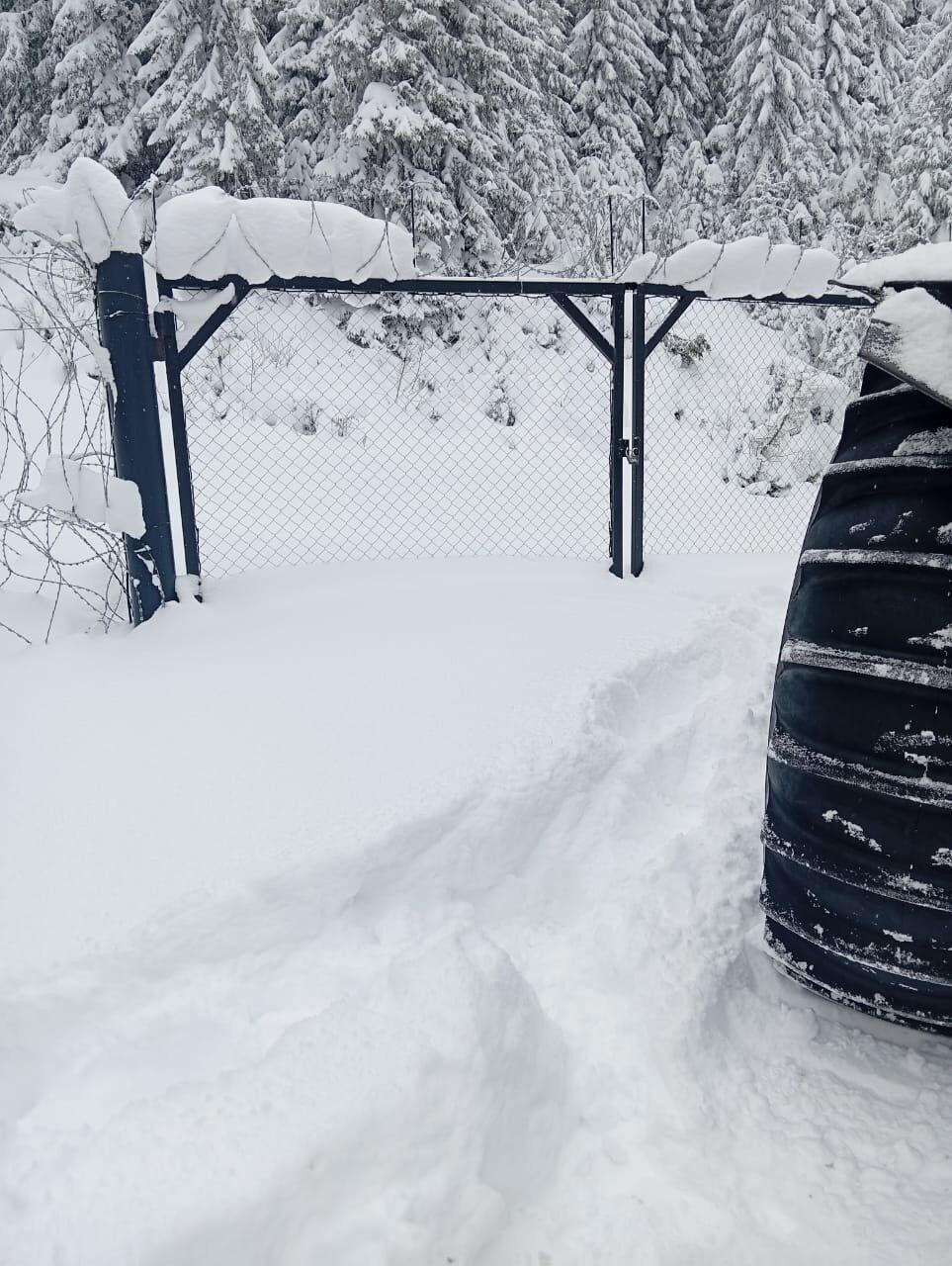Мешканець Полтавщини хотів незаконно перетнути кордон, але ледь не загинув у горах: чим все скінчилось. Фото