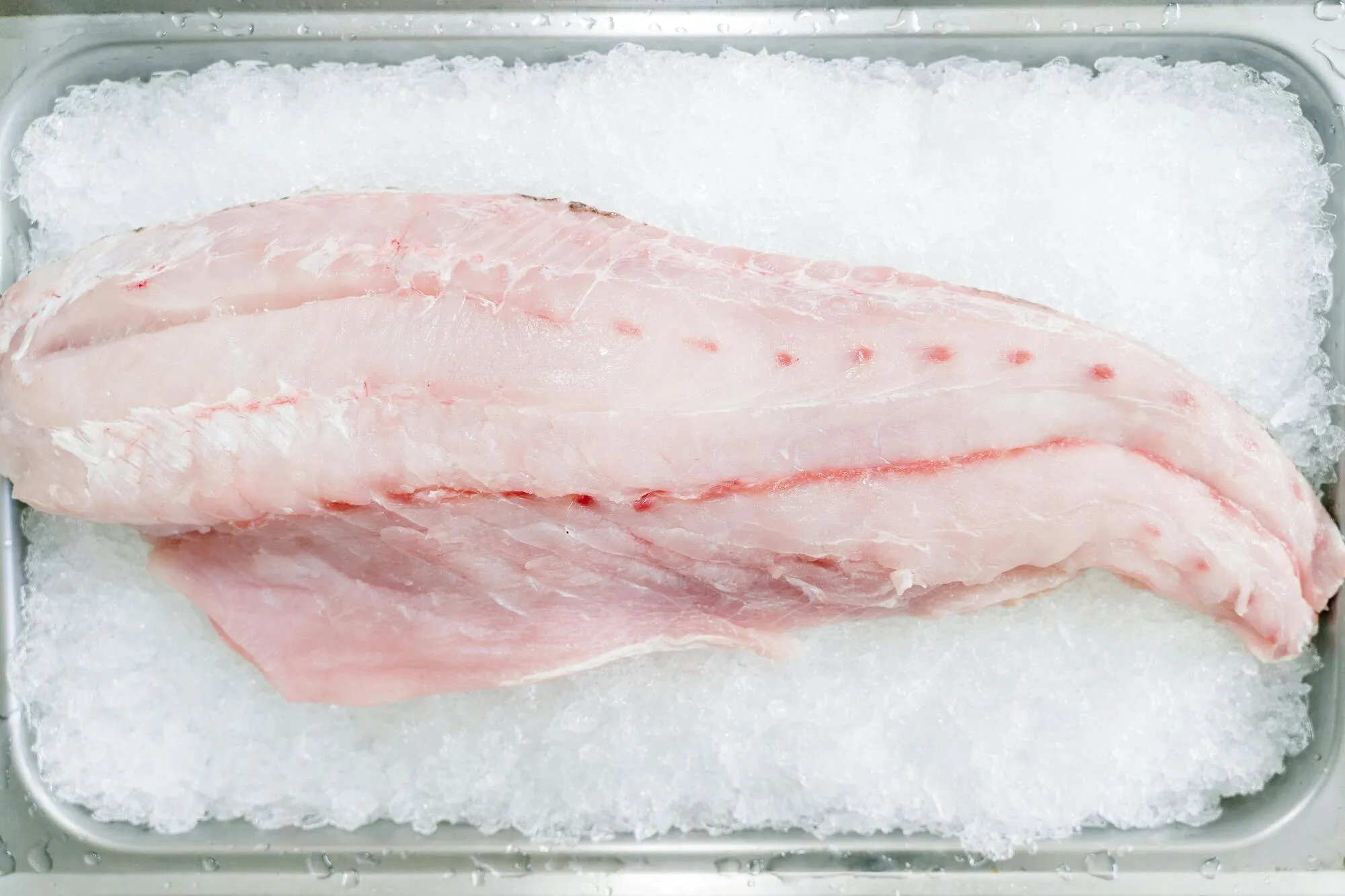 Яку рибу не можна категорично їсти, в ній багато ртуті: вона є у всіх супермаркетах