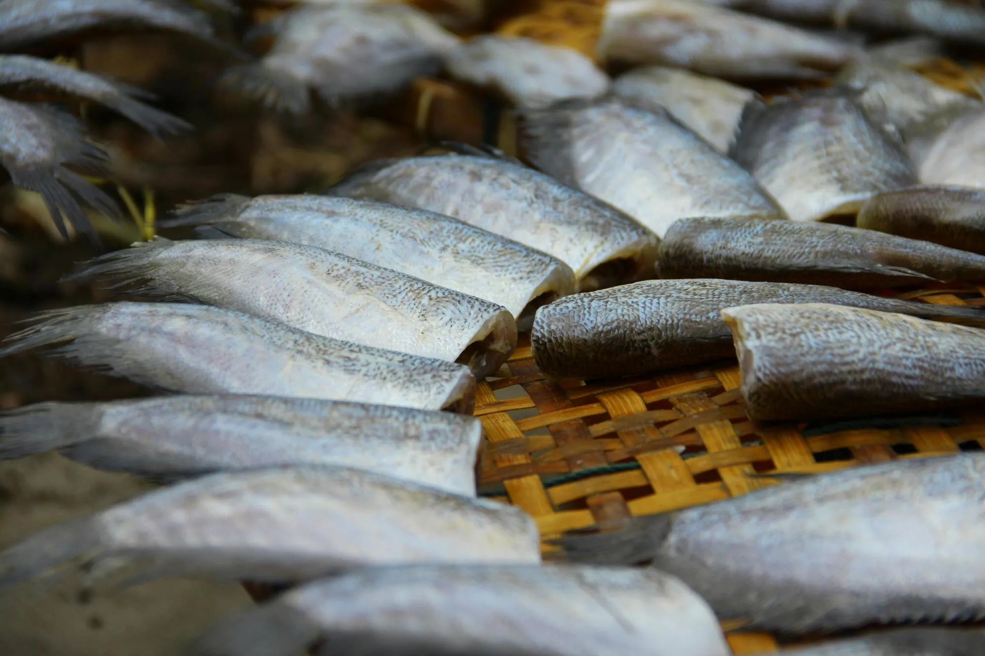 Як категорично не можна розморожувати рибу і як правильно це зробити за 20 хвилин: ділимося порадами