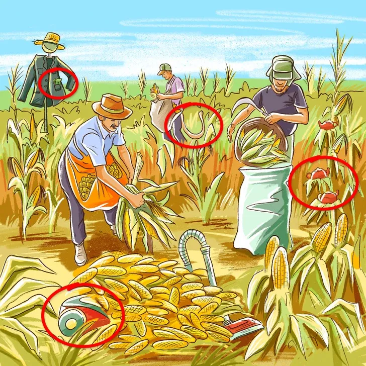 Знайдіть усі помилки на малюнку: нестандартна головоломка