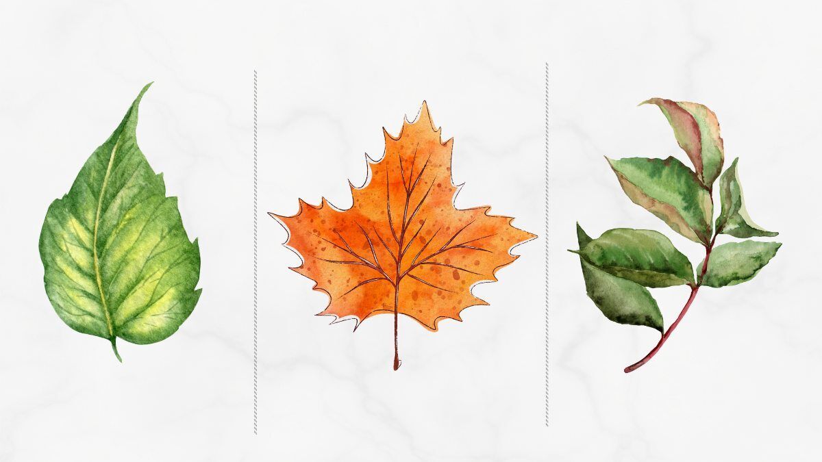 У чому ваша прихована сила: оберіть листок і дізнайтеся