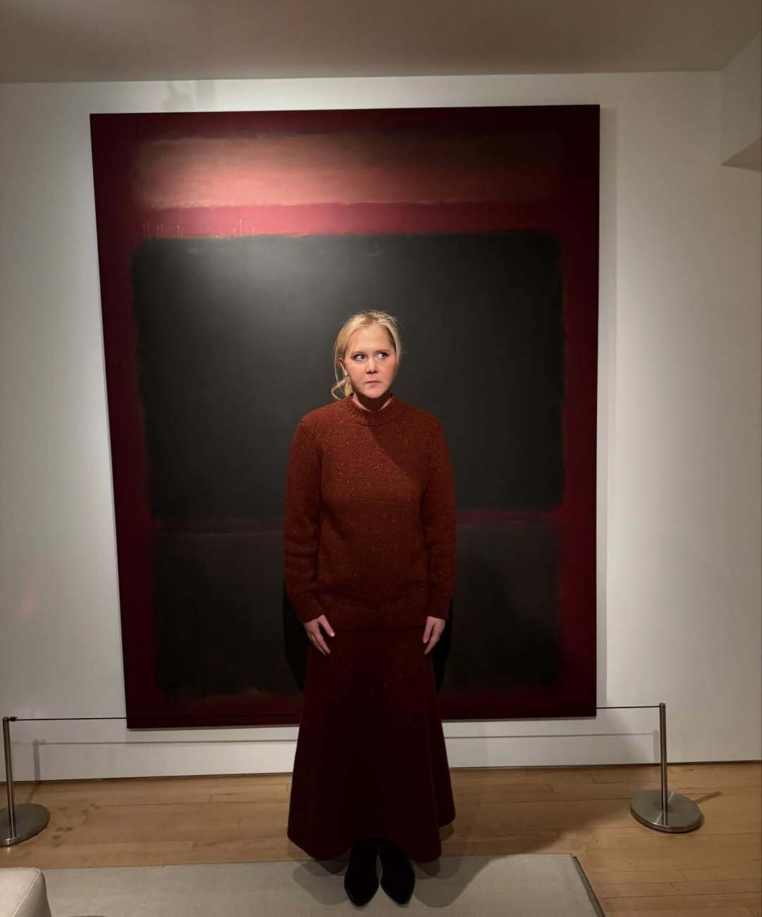 Одна з найбагатших гумористок світу Емі Шумер покинула свого чоловіка-фермера та назвала причину