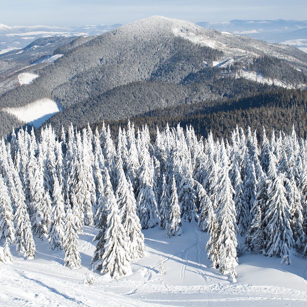 Без величезних черг і захмарних цін: топ-5 гірськолижних курортів України, які нічим не гірші за Буковель