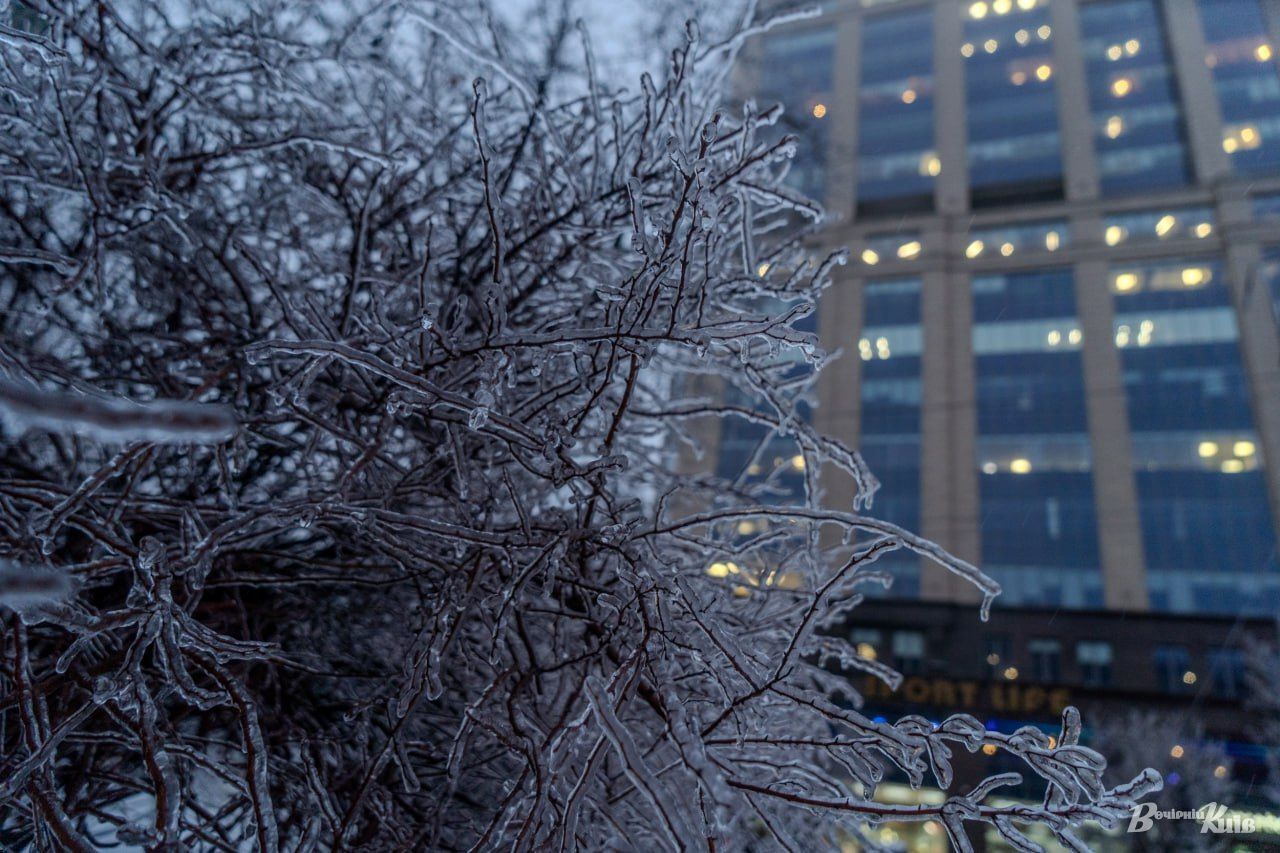 Поваленные деревья, на западе фуры застряли в сугробах, а на Киевщине люди без света: Украину накрыла непогода. Фото и видео