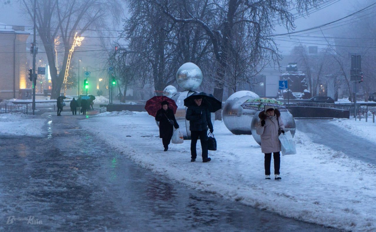 Поваленные деревья, на западе фуры застряли в сугробах, а на Киевщине люди без света: Украину накрыла непогода. Фото и видео