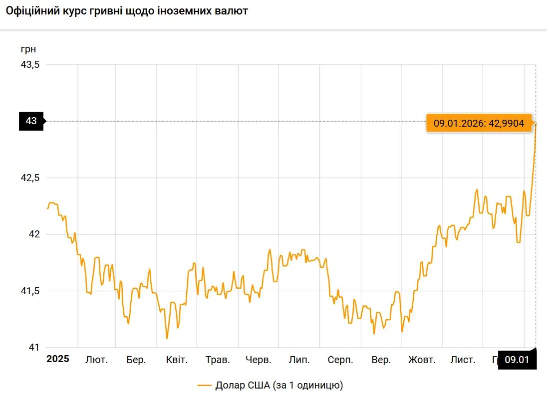Курс долар-гривня за рік