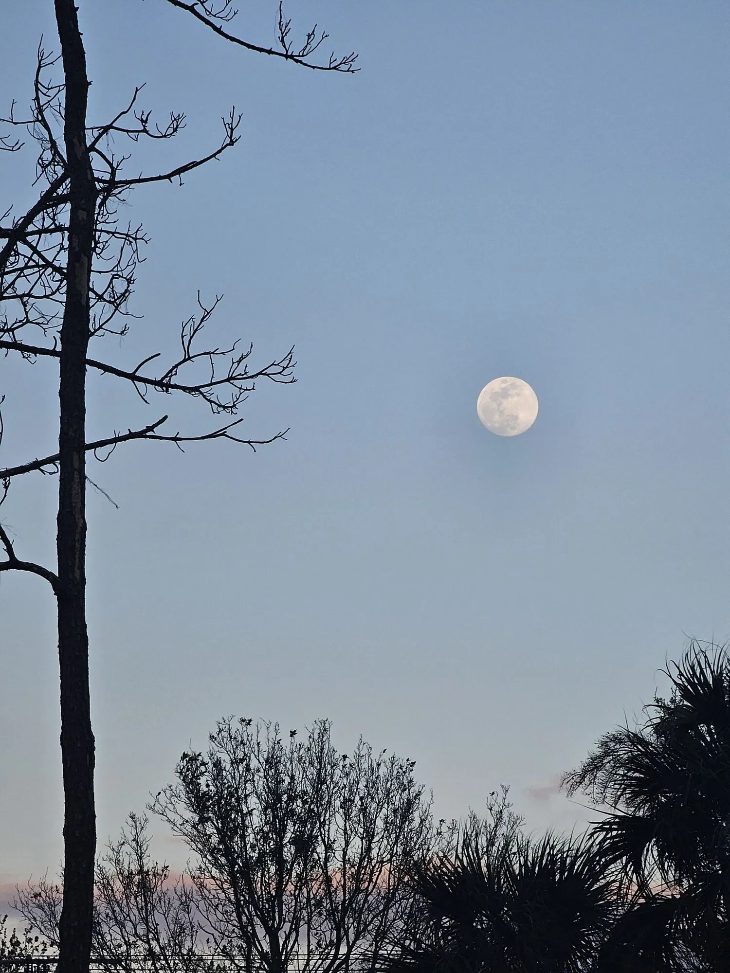 В феврале в небе появилась Снежная Луна: чем особенное это полнолуние. Фото