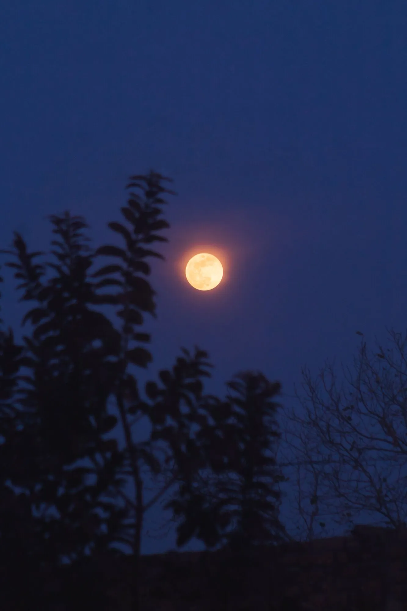 В феврале в небе появилась Снежная Луна: чем особенное это полнолуние. Фото