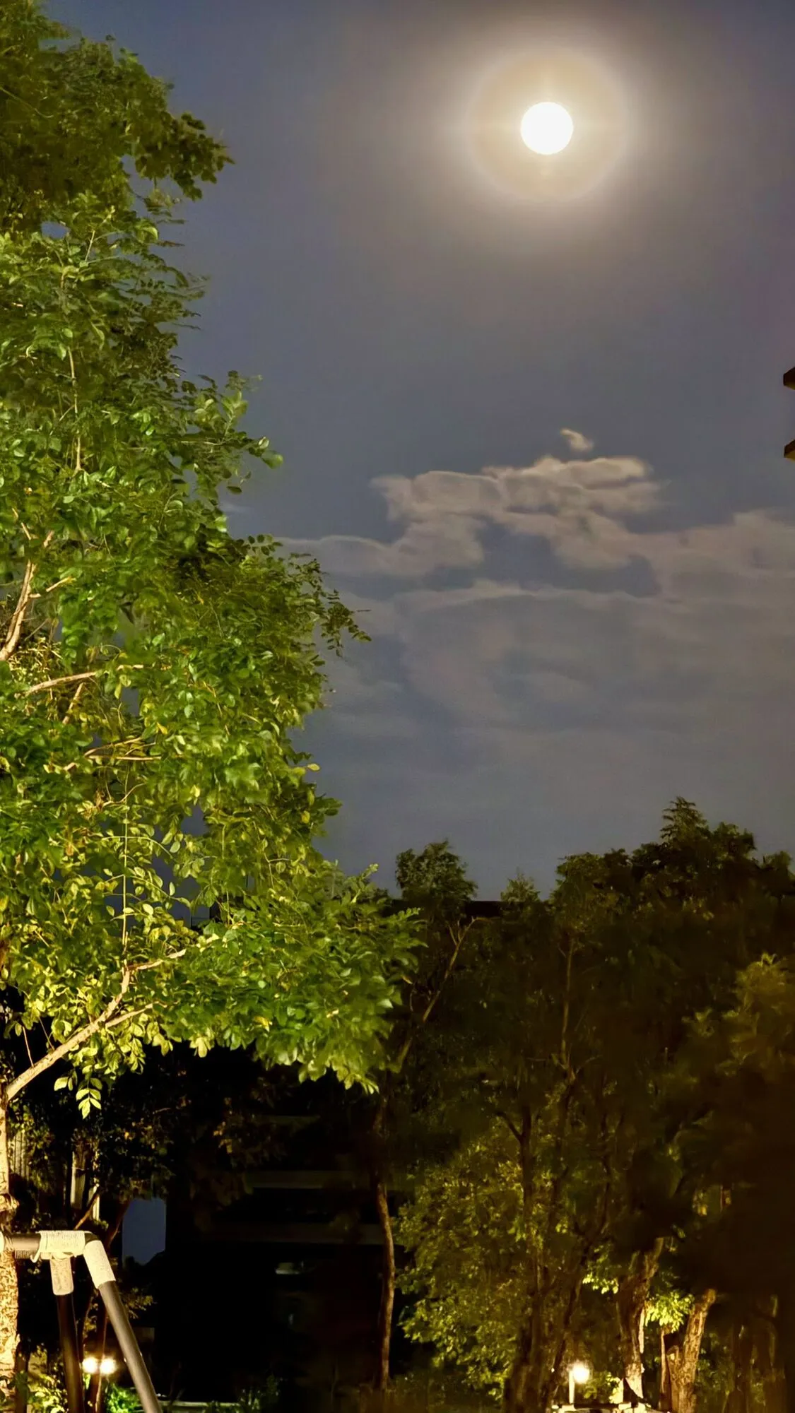 В феврале в небе появилась Снежная Луна: чем особенное это полнолуние. Фото