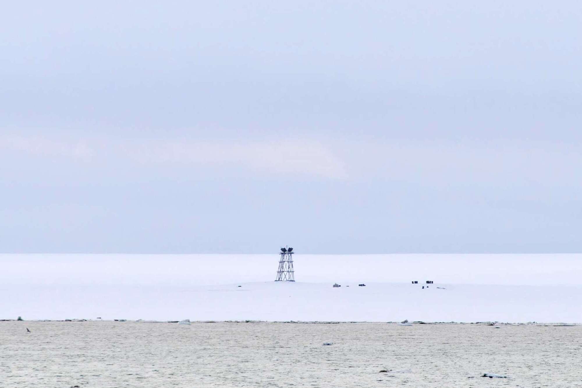 Лише 100 років тому: яким було останнє велике відкриття суші на планеті Земля