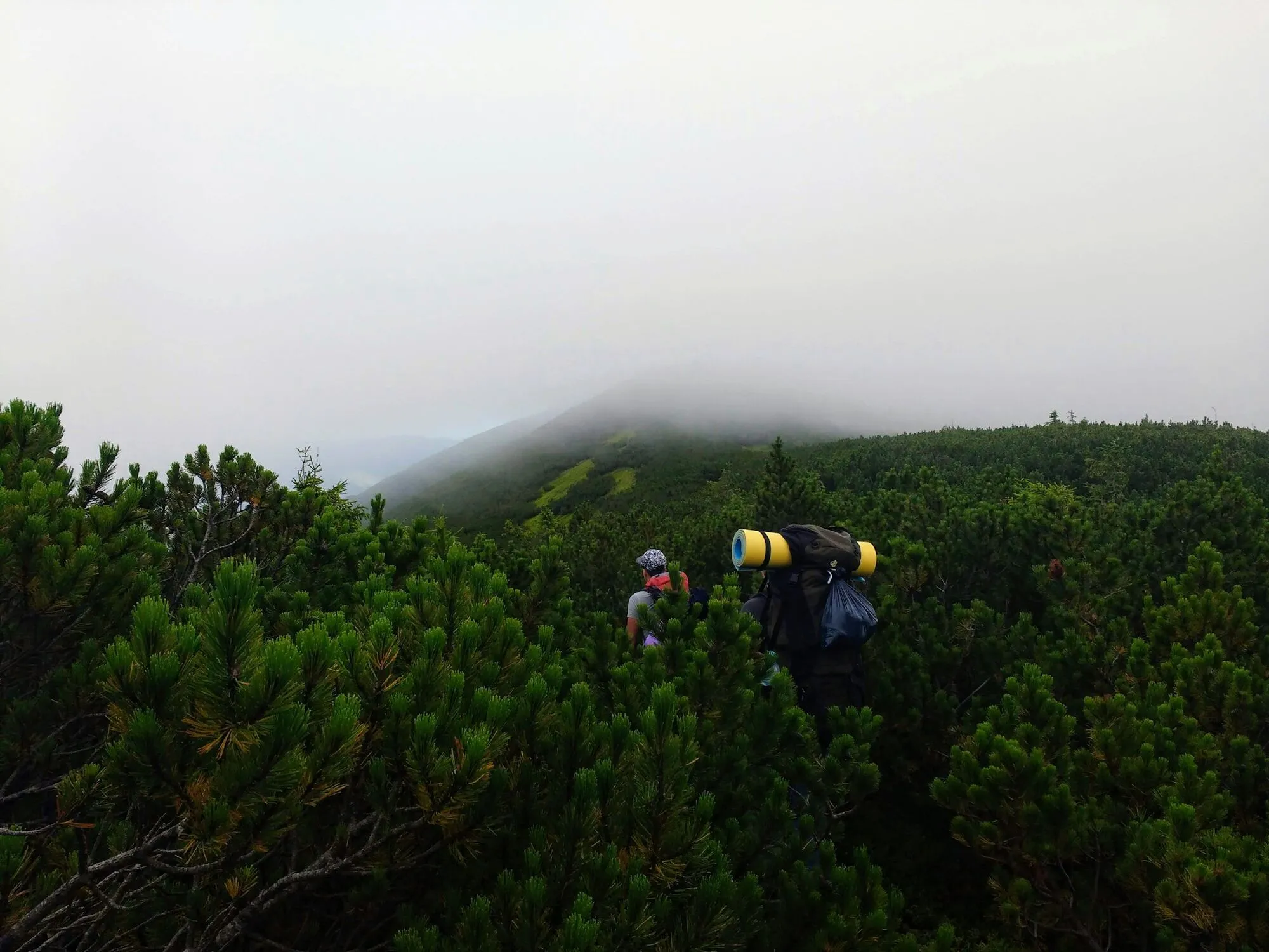 Названа лучшая страна Европы для хайкинга