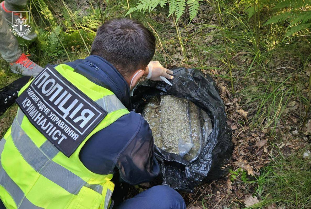 "Зарабатывали" более 20 млн грн ежемесячно: в Украине будут судить участников наркоорганизации "Краснобаловские". Фото