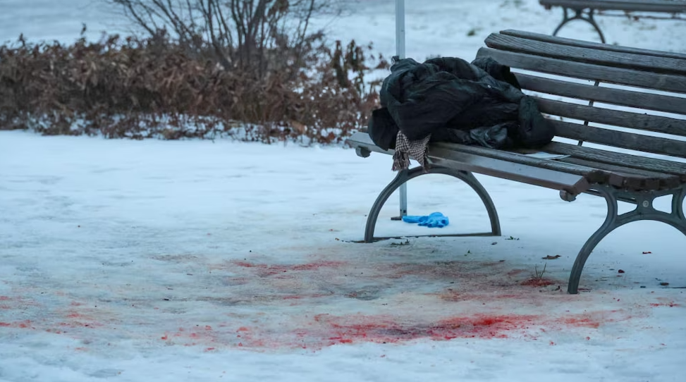 В Берлине в парке нашли мертвую украинку: появились данные о подозреваемом в убийстве. Фото и видео