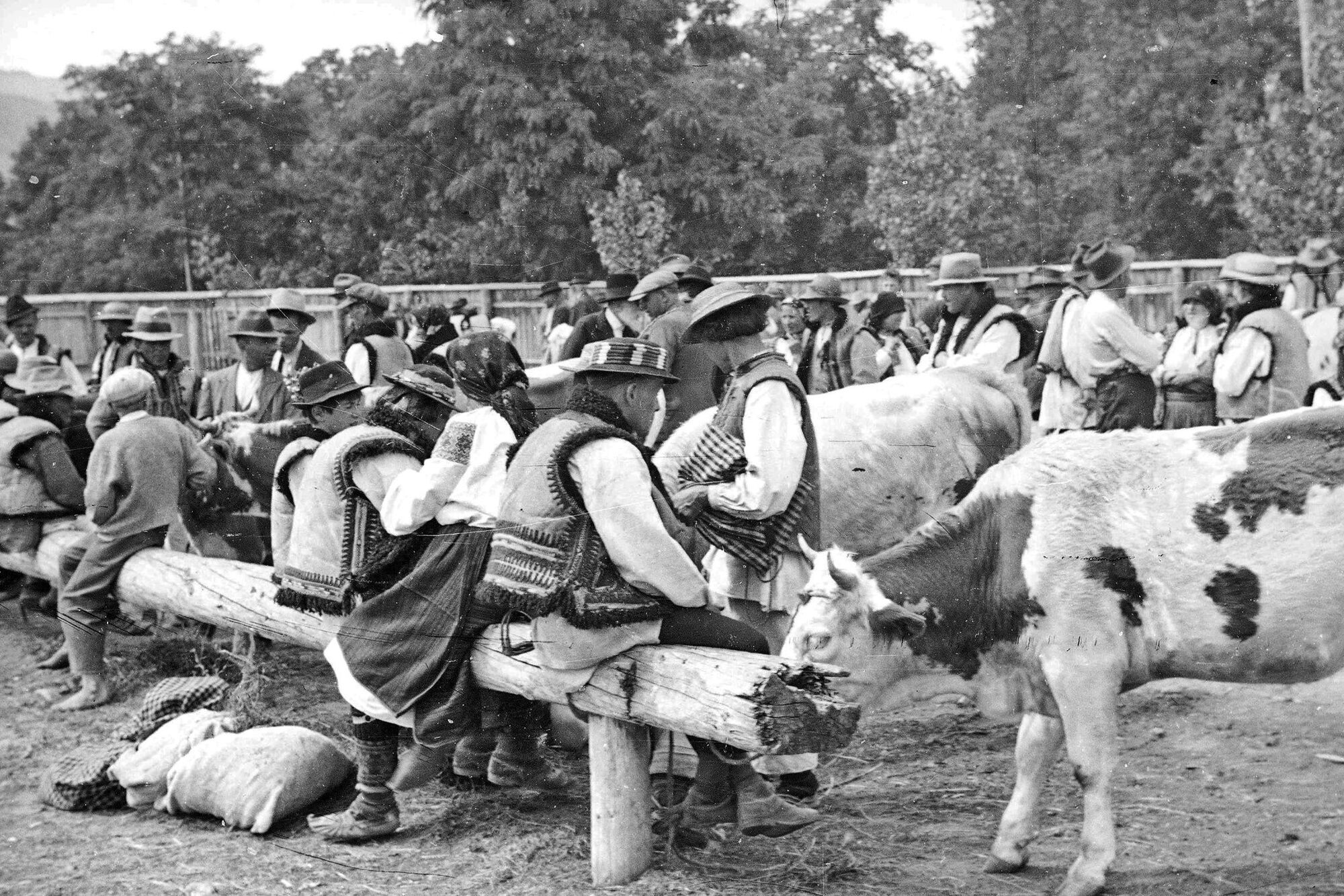 Косов в 30-х годах: в сети показали уникальные фотографии