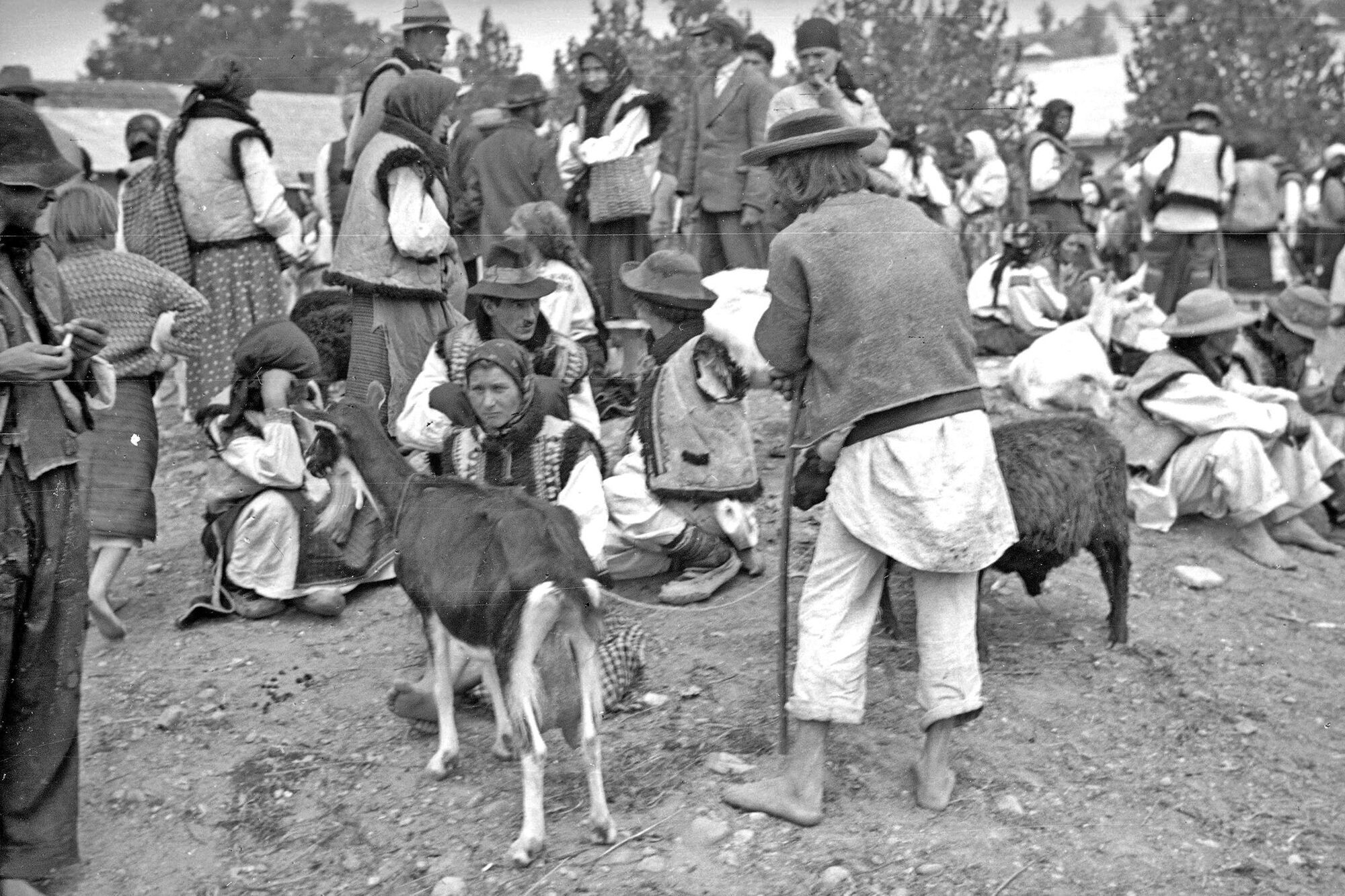 Косов в 30-х годах: в сети показали уникальные фотографии