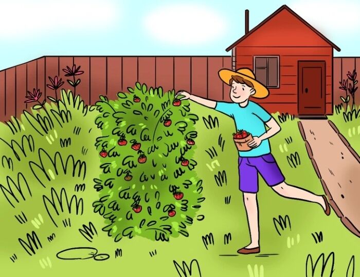 Знайдіть помилку на малюнку: хитра головоломка