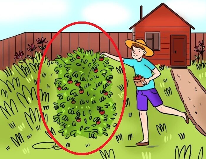 Знайдіть помилку на малюнку: хитра головоломка