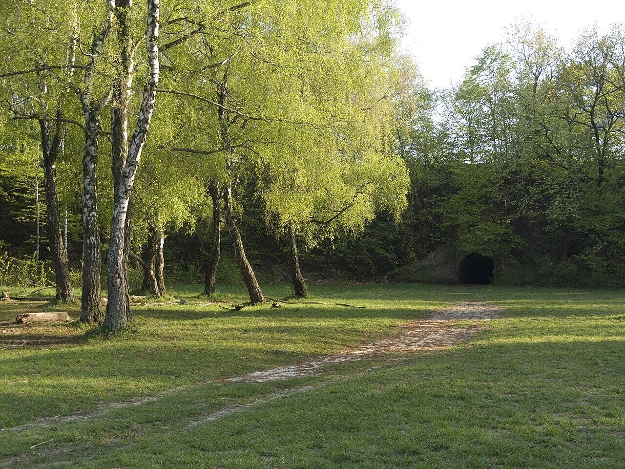 Пятница, 13-е: самые мистические места Киева, связанные с ведьмами, где нужно побывать