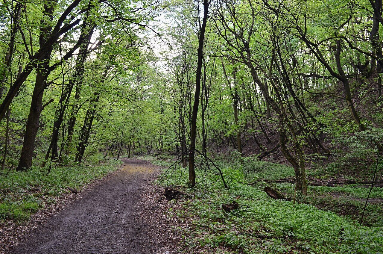 Пятница, 13-е: самые мистические места Киева, связанные с ведьмами, где нужно побывать