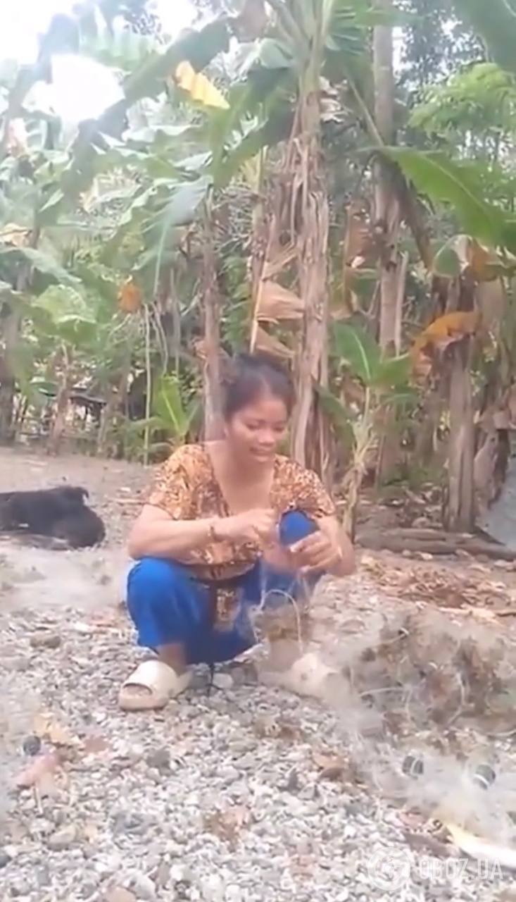 Известная блогер трагически умерла после того, как съела ядовитого "дьявольского краба" ради хайпа