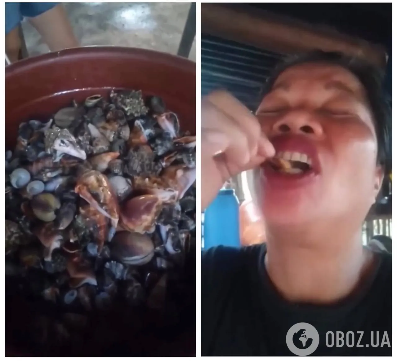 Известная блогер трагически умерла после того, как съела ядовитого "дьявольского краба" ради хайпа