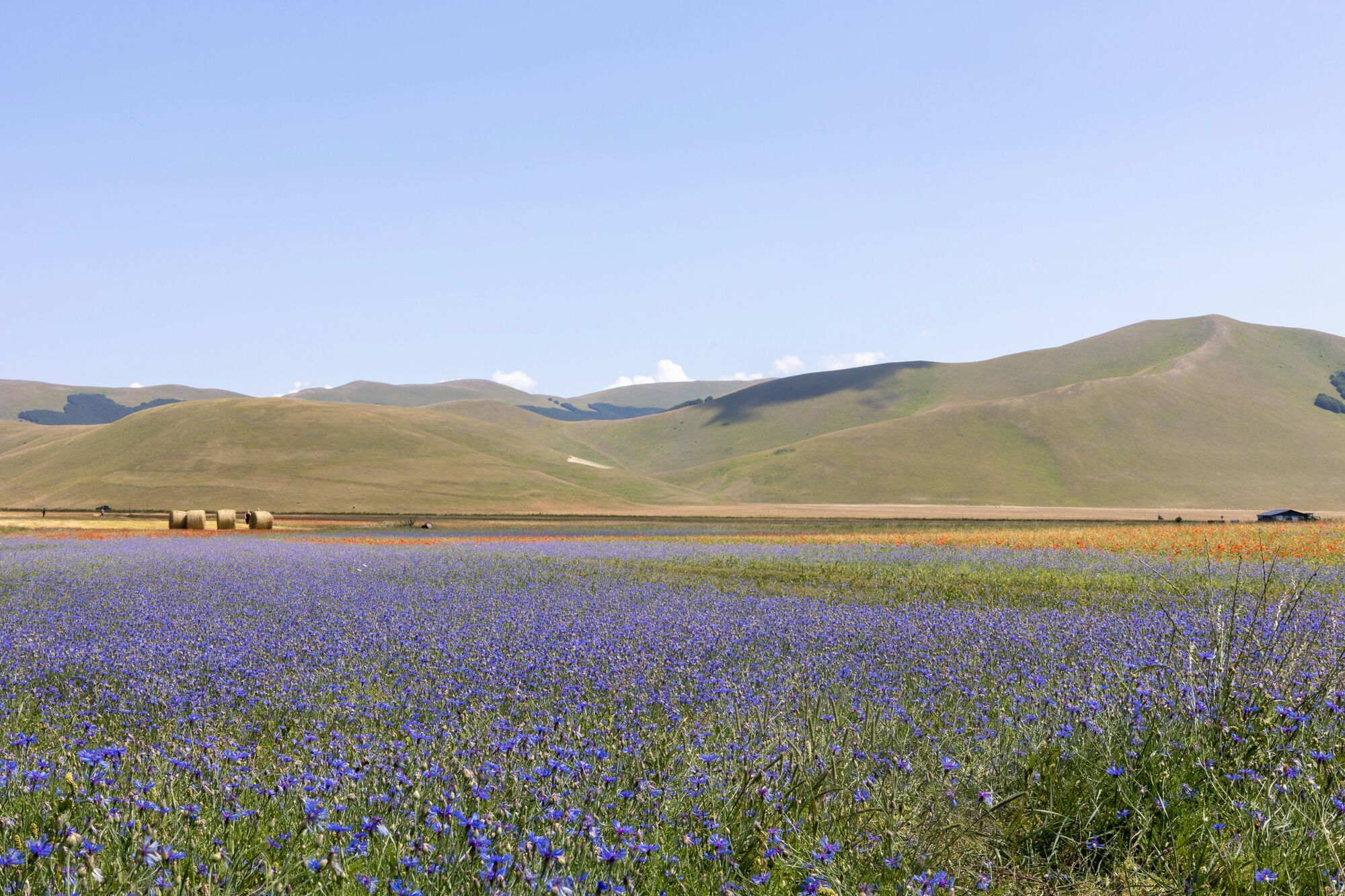 Куди поїхати в Італії весною: топ 9 напрямків
