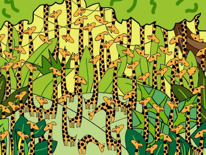 Где спряталась змея? Головоломка для самых внимательных