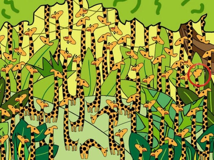 Где спряталась змея? Головоломка для самых внимательных