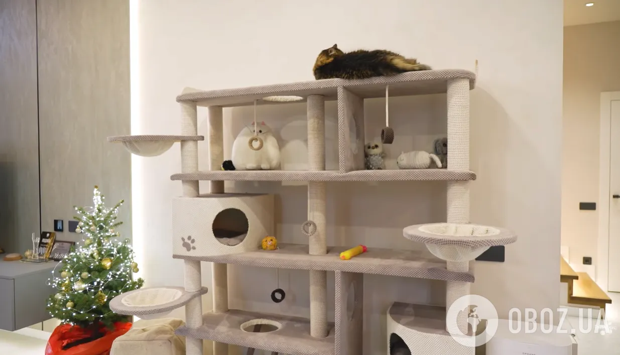 Люстра за 70 тисяч і диван-рятівник від болю в спині: актор Суровцев розкрив таємниці свого будинку, в якому живуть 6 котів і собака