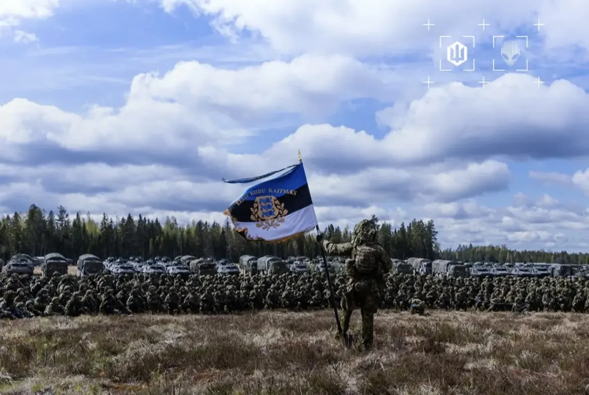 Украинские бойцы рассказали, как победили военных НАТО на учениях. Фото
