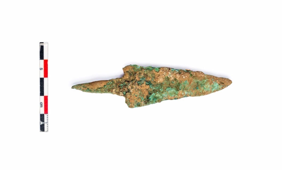 Археологи знайшли залишки бізона, який жив 4000 років тому: в чому унікальність відкриття