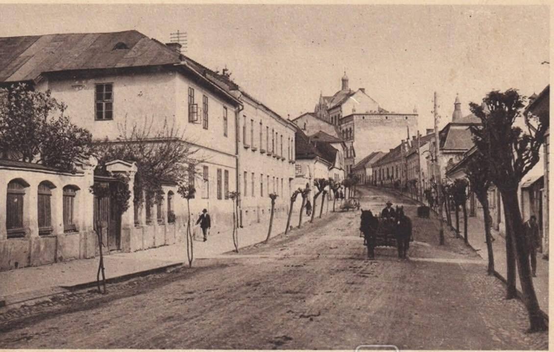 Каким был древний Ужгород: в сети показали фото